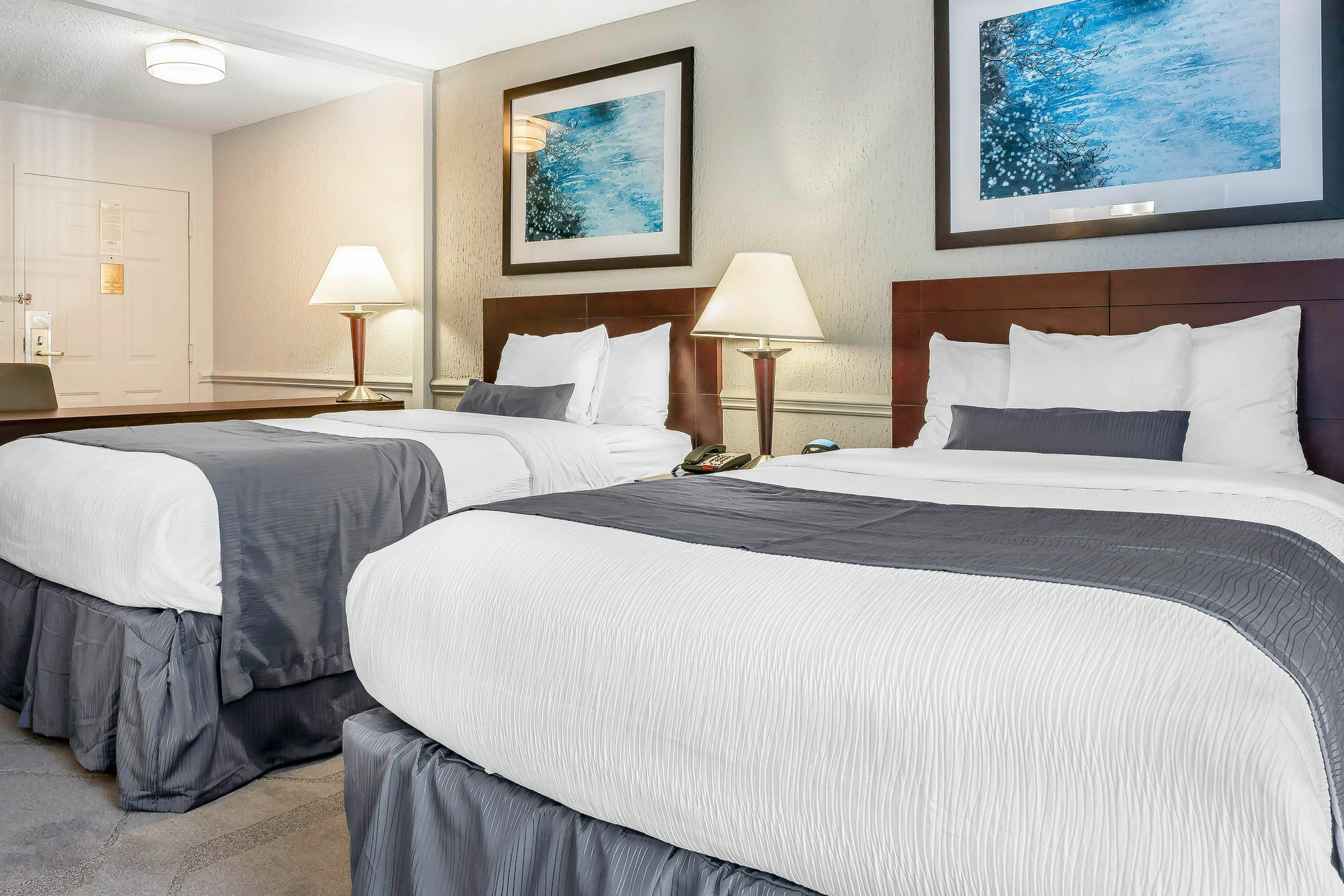 The Blu Hotel Blue Ash Cincinnati, Ascend Hotel Collection Екстер'єр фото